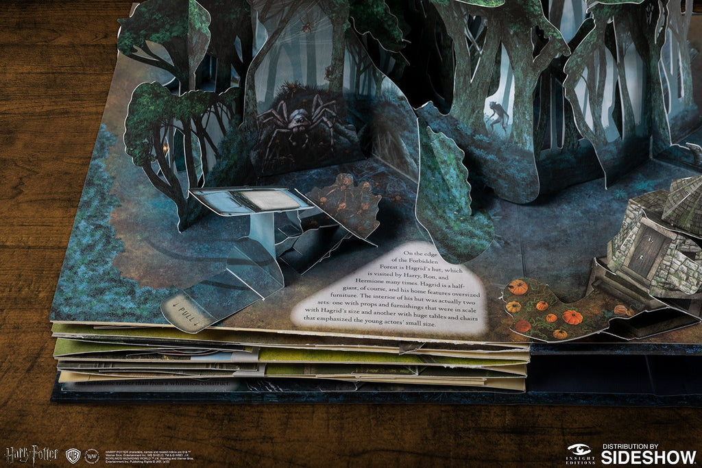 Harry Potter A Pop-Up Guide to Hogwarts
